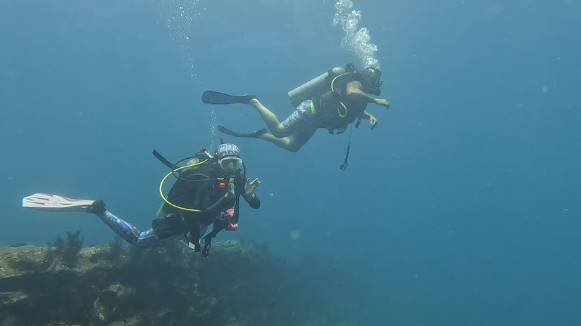 Nikdive with Clients